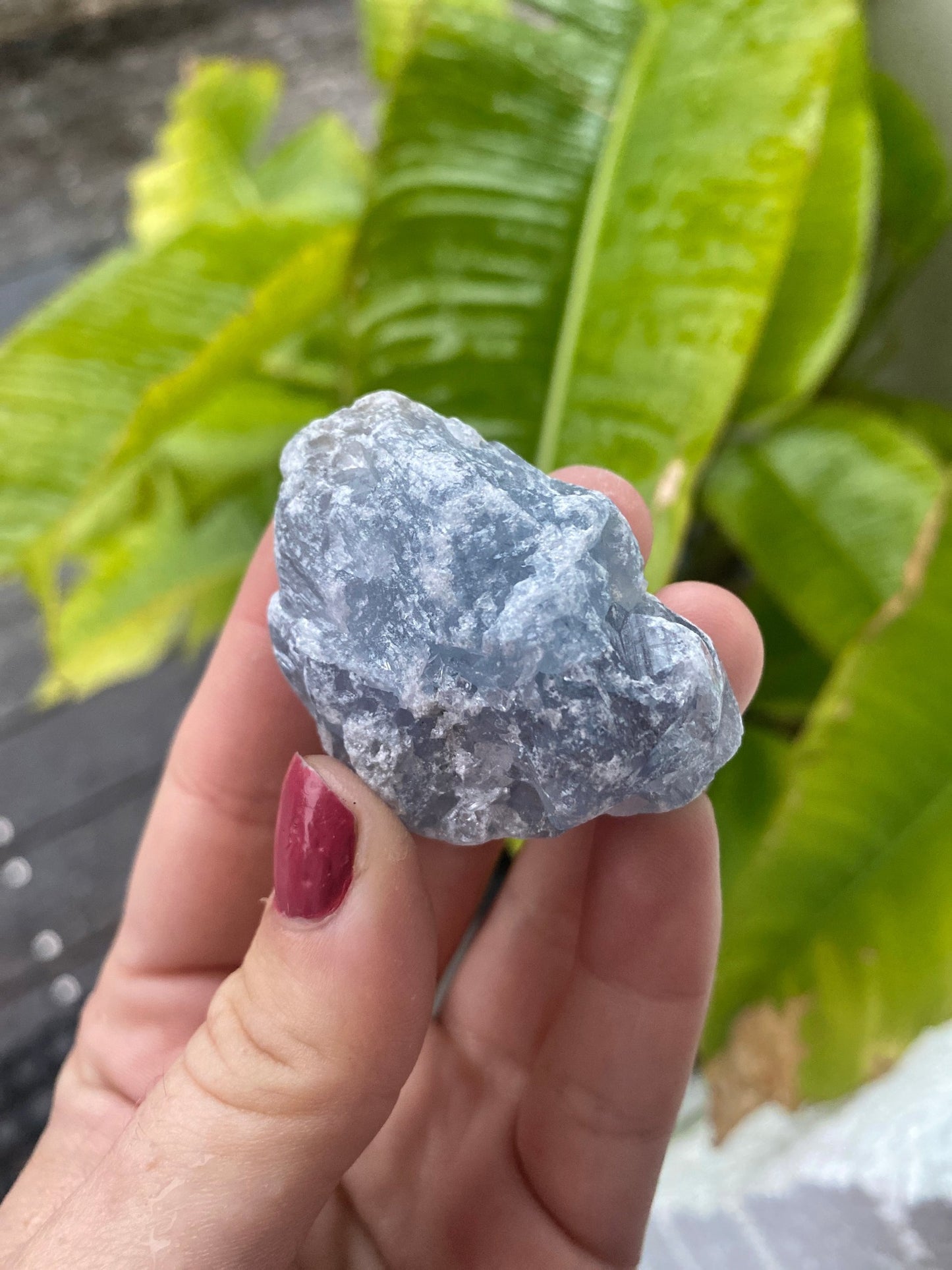 Raw Celestite