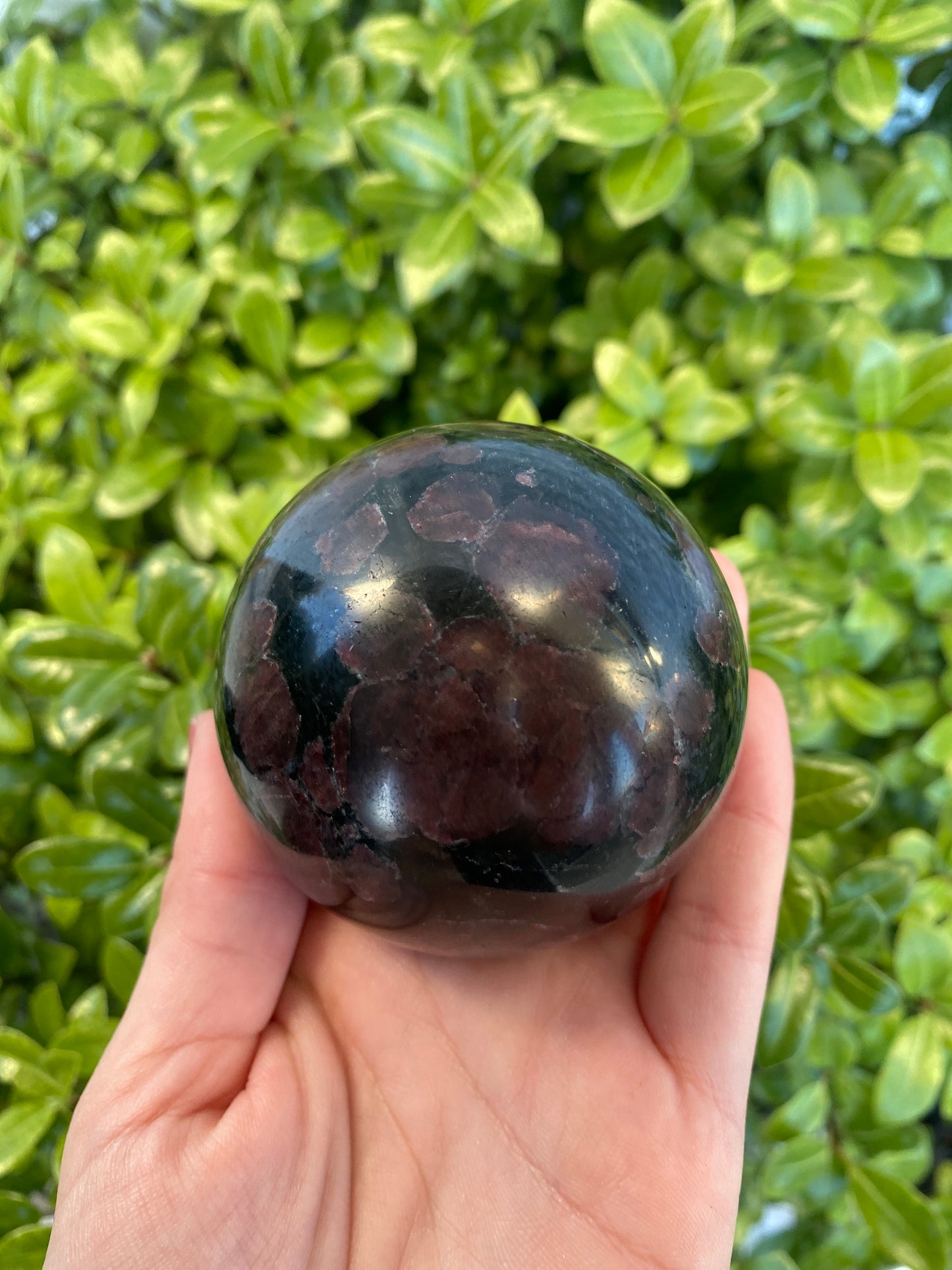 Garnet in Astrophyllite Sphere