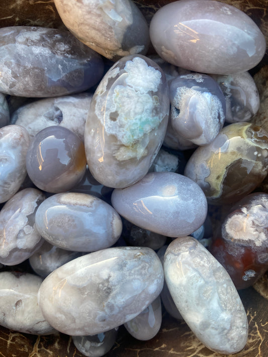 Black Flower Agate Tumbles