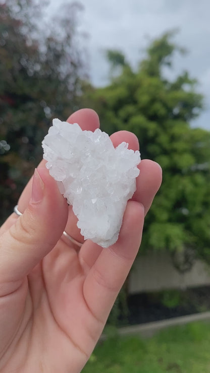 Clear Quartz Cluster