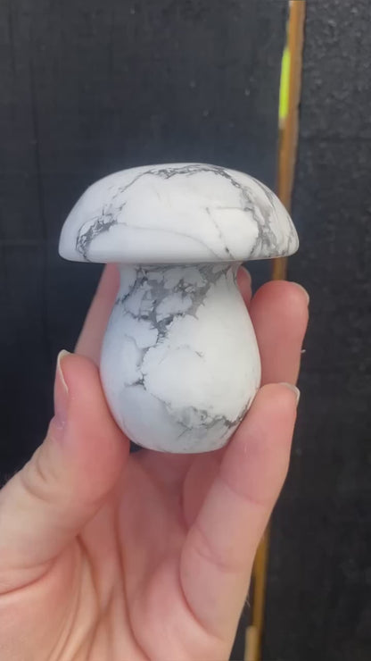 Howlite Mushroom