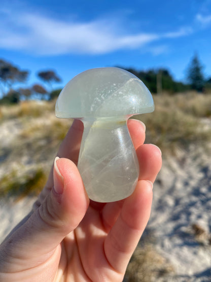 Fluorite Mushrooms