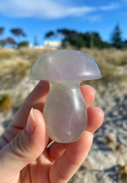 Fluorite Mushrooms