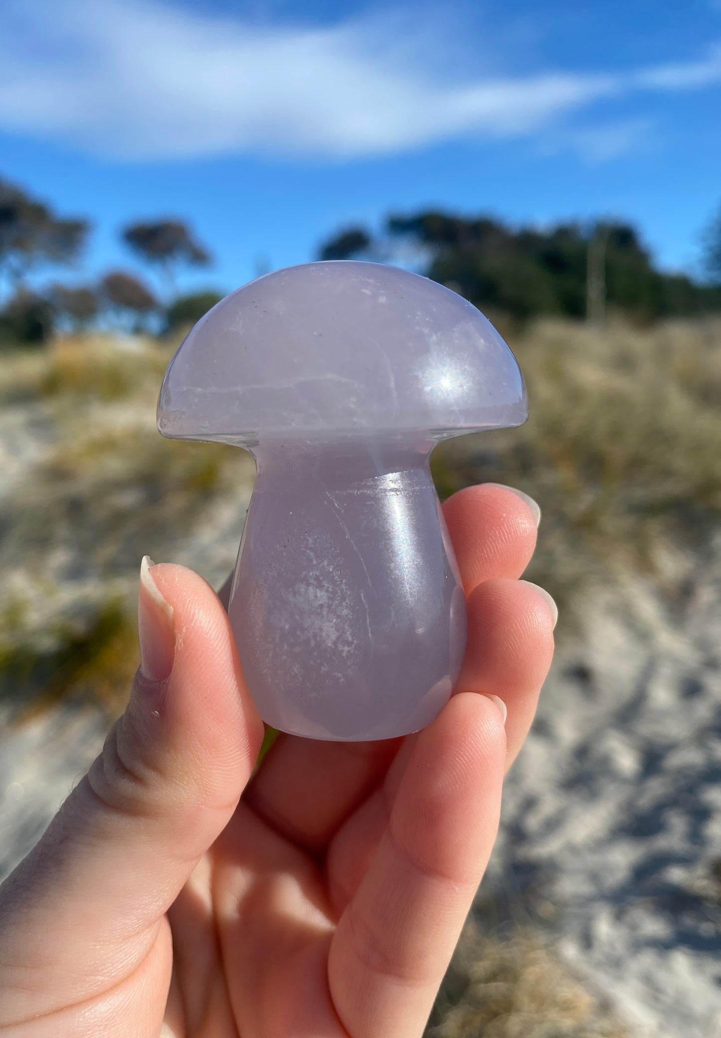 Fluorite Mushrooms