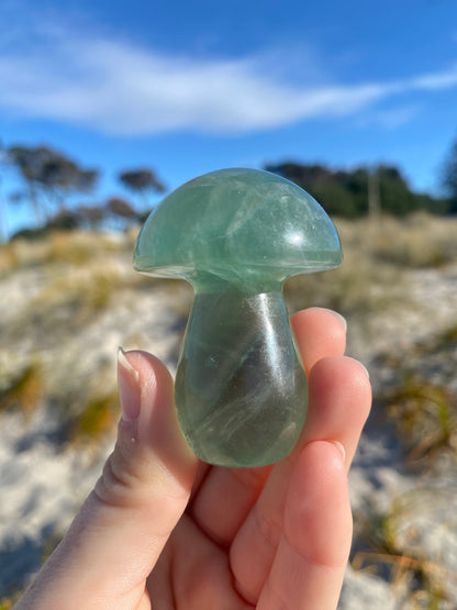 Fluorite Mushrooms