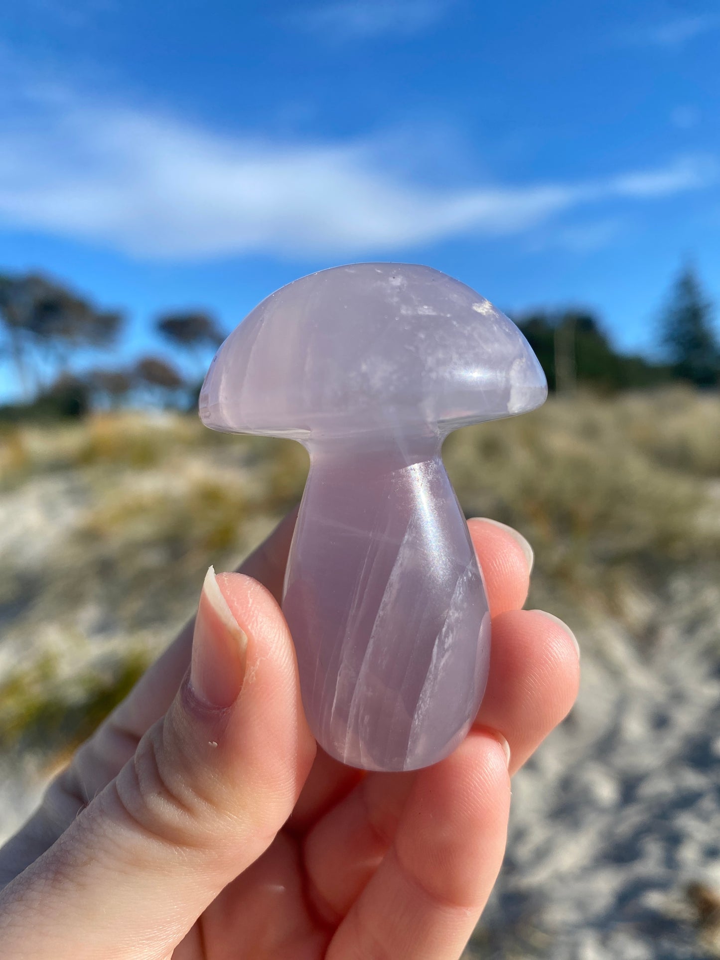 Fluorite Mushrooms