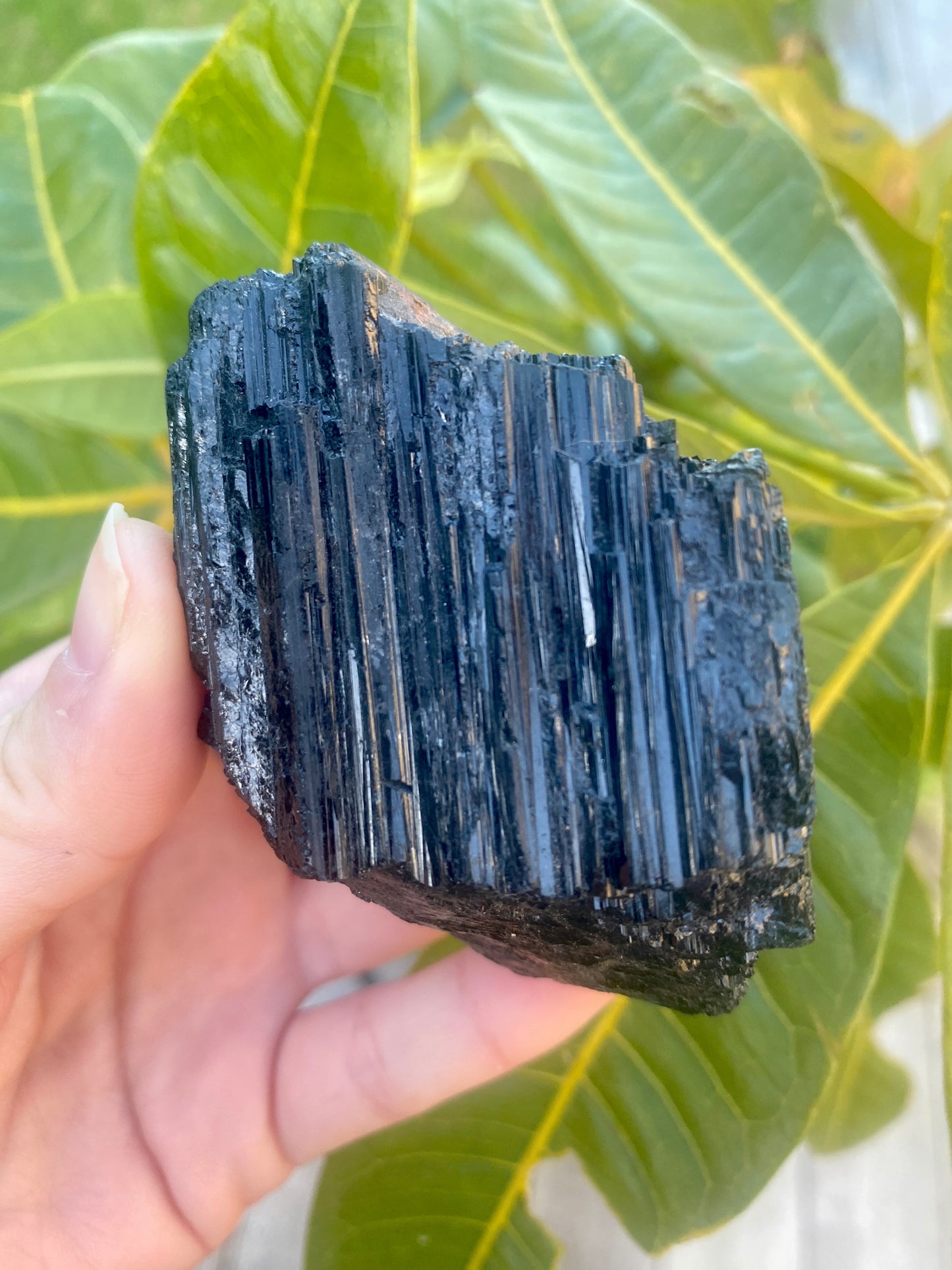 Black Tourmaline Raw Pieces