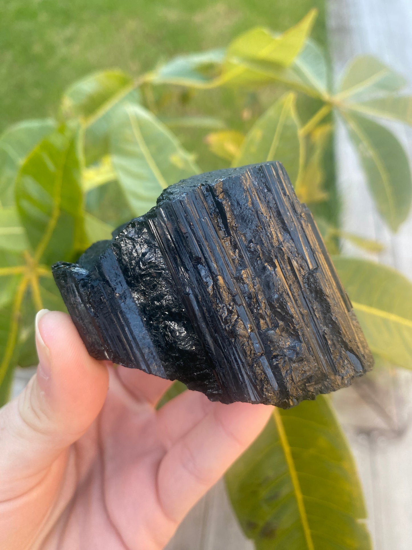 Black Tourmaline Raw Pieces